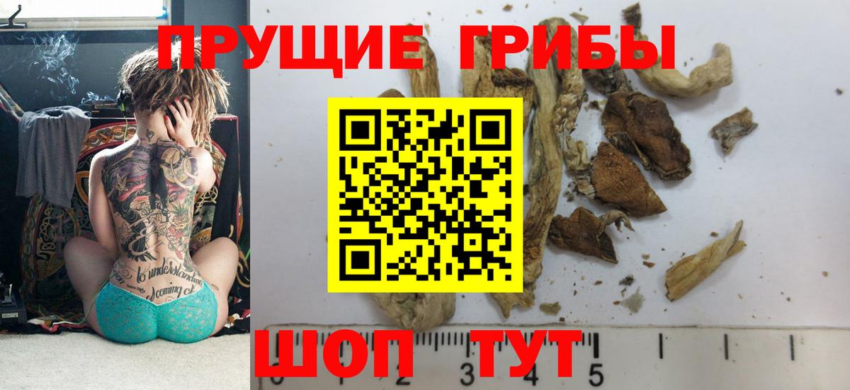 Псилоцибиновые грибы GOLDEN TEACHER  Вход с VPN  Алатырь  Галлюциногенные грибы мухоморы 