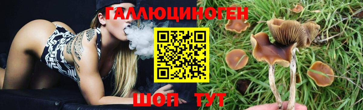 Галлюциногенные грибы Cubensis Алатырь